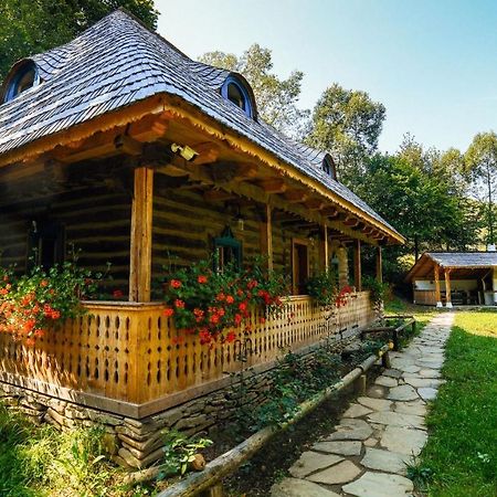 Casa Lu' Ion Villa Viseu de Sus Ngoại thất bức ảnh