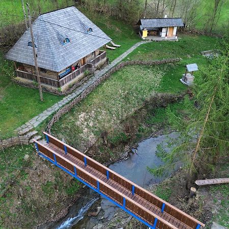 Casa Lu' Ion Villa Viseu de Sus Ngoại thất bức ảnh