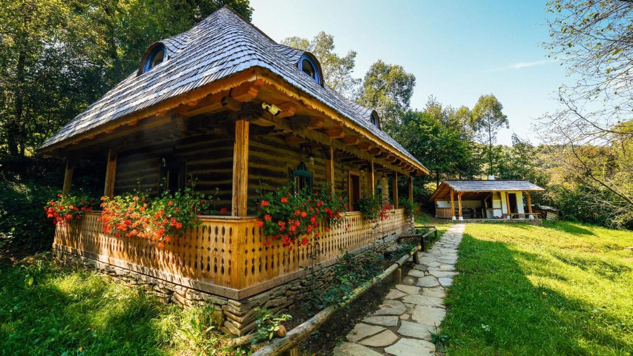 Casa Lu' Ion Villa Viseu de Sus Ngoại thất bức ảnh