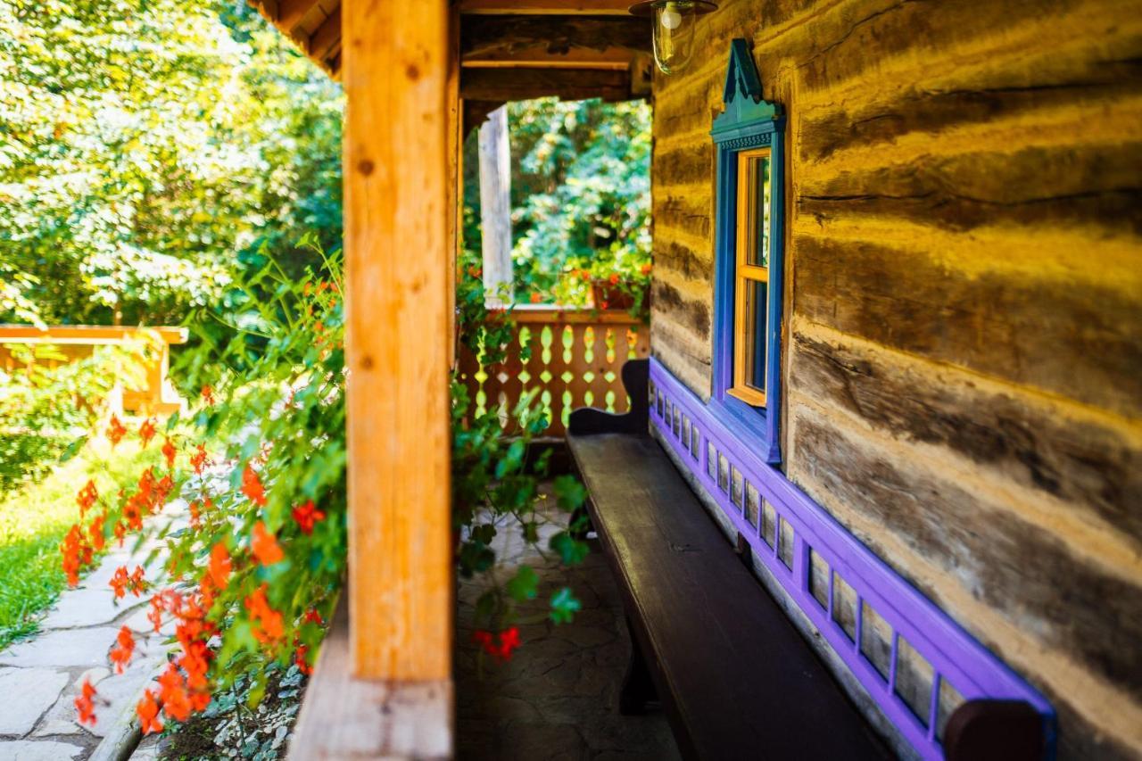 Casa Lu' Ion Villa Viseu de Sus Ngoại thất bức ảnh