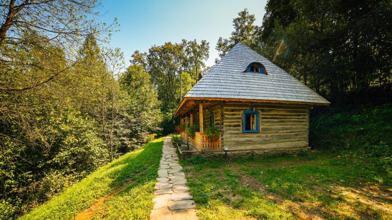 Casa Lu' Ion Villa Viseu de Sus Ngoại thất bức ảnh