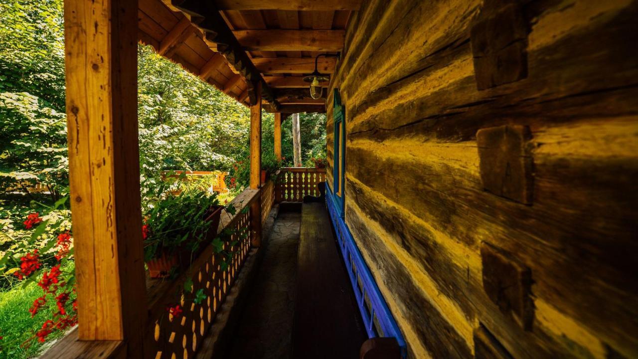 Casa Lu' Ion Villa Viseu de Sus Ngoại thất bức ảnh