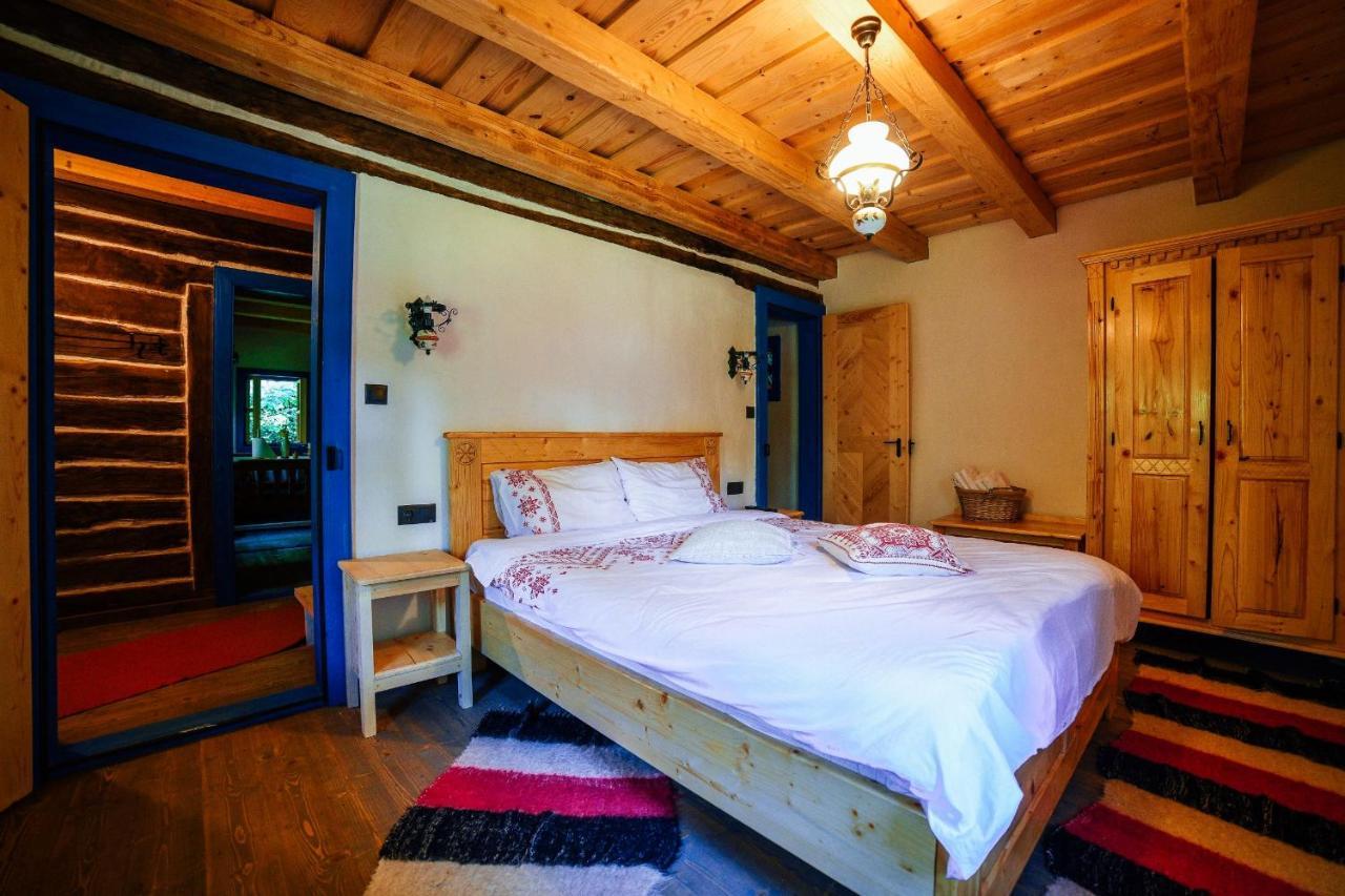 Casa Lu' Ion Villa Viseu de Sus Ngoại thất bức ảnh