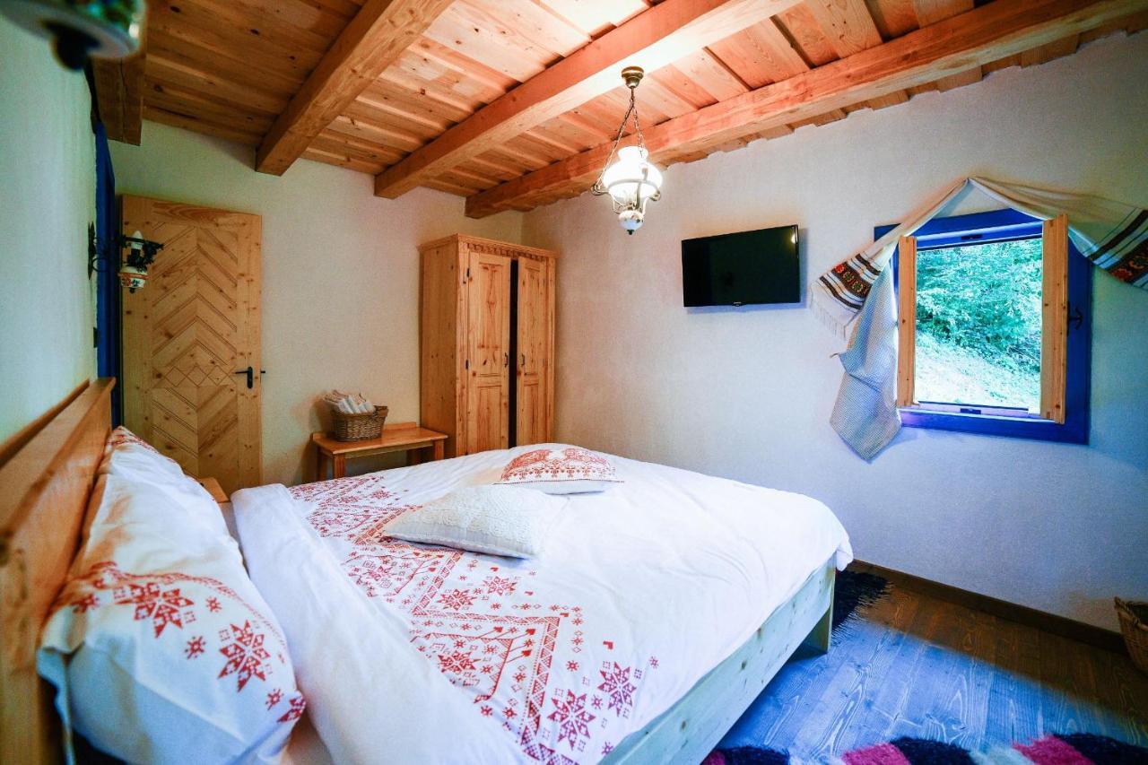 Casa Lu' Ion Villa Viseu de Sus Ngoại thất bức ảnh
