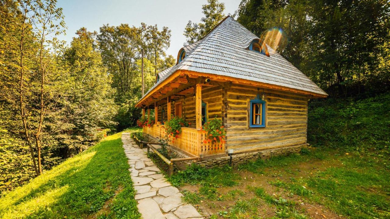 Casa Lu' Ion Villa Viseu de Sus Ngoại thất bức ảnh