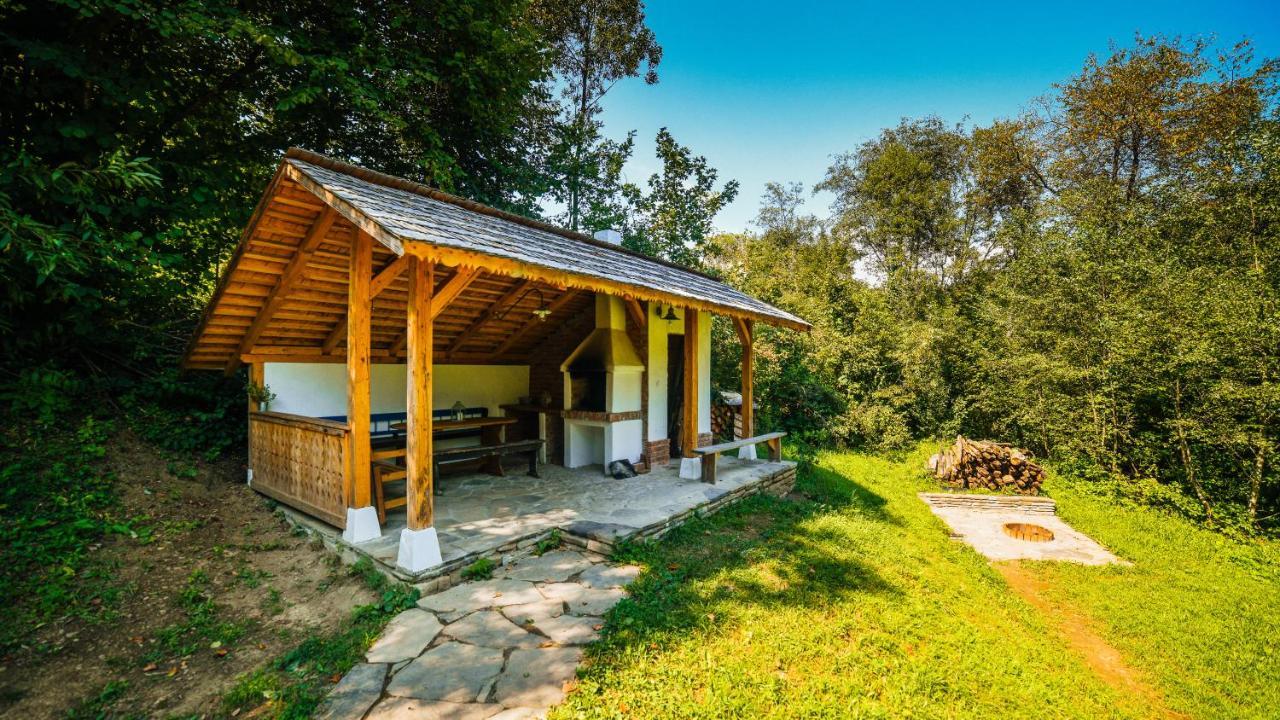 Casa Lu' Ion Villa Viseu de Sus Ngoại thất bức ảnh