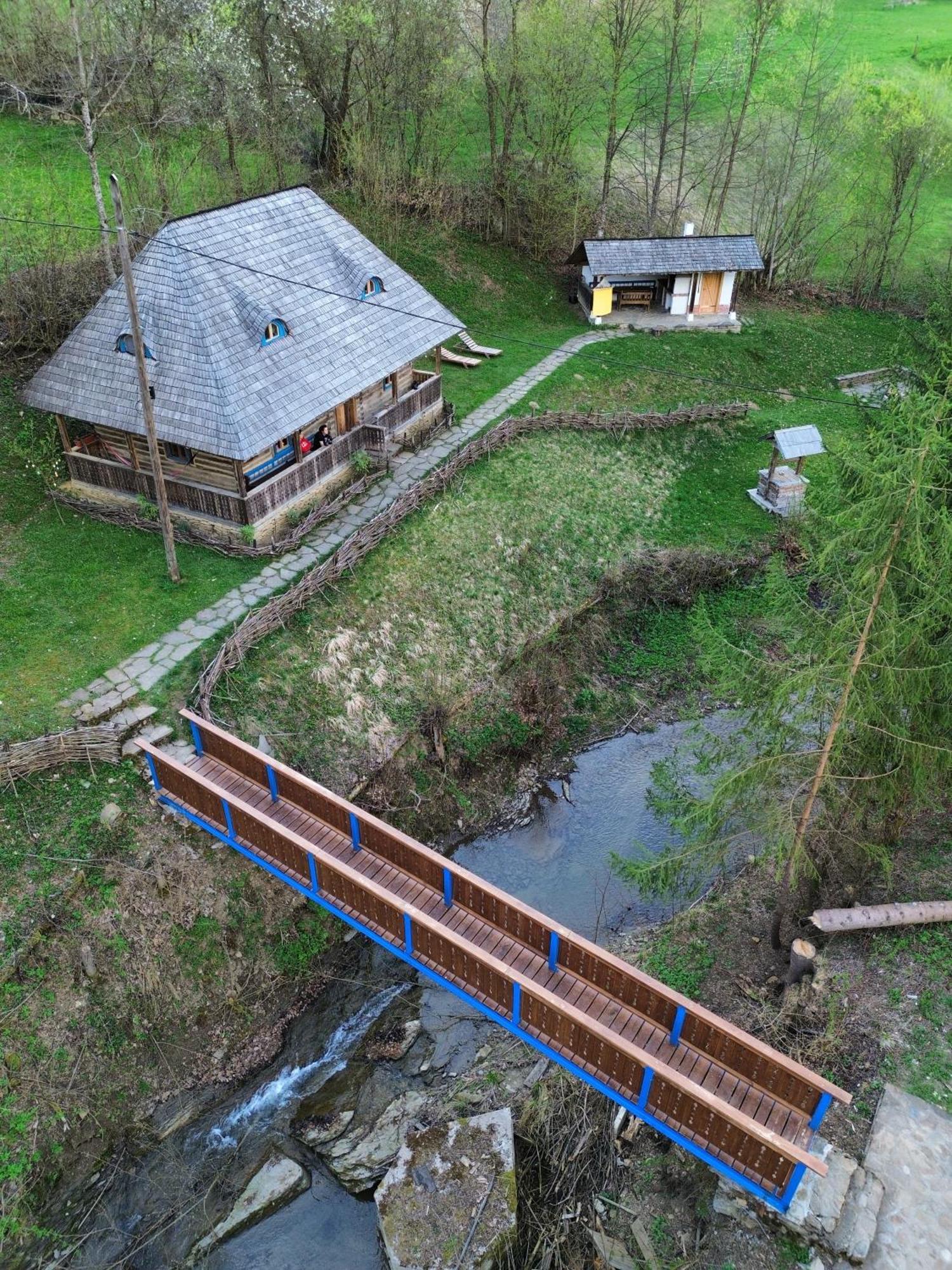 Casa Lu' Ion Villa Viseu de Sus Ngoại thất bức ảnh