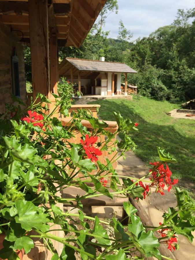 Casa Lu' Ion Villa Viseu de Sus Ngoại thất bức ảnh