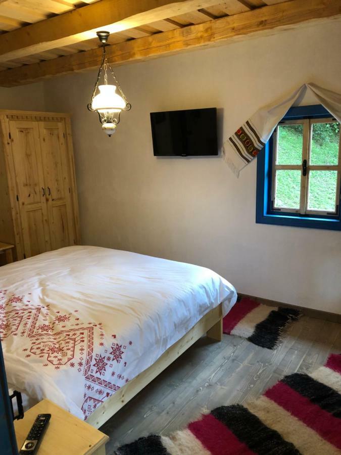Casa Lu' Ion Villa Viseu de Sus Ngoại thất bức ảnh